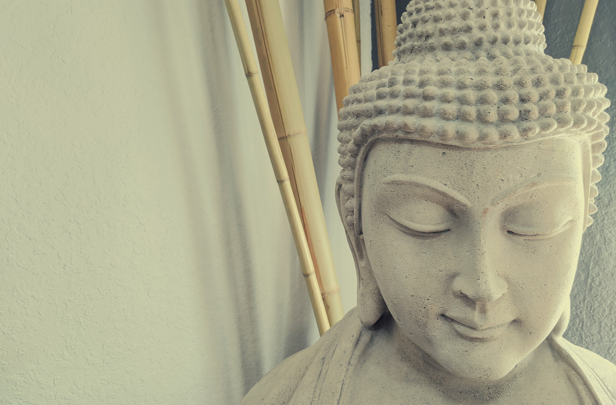 Sarasota Vacation Rental